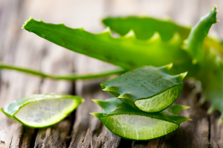 The 5 Best and Simplest Ways to Use Aloe Vera as a Natural Skin Remedy